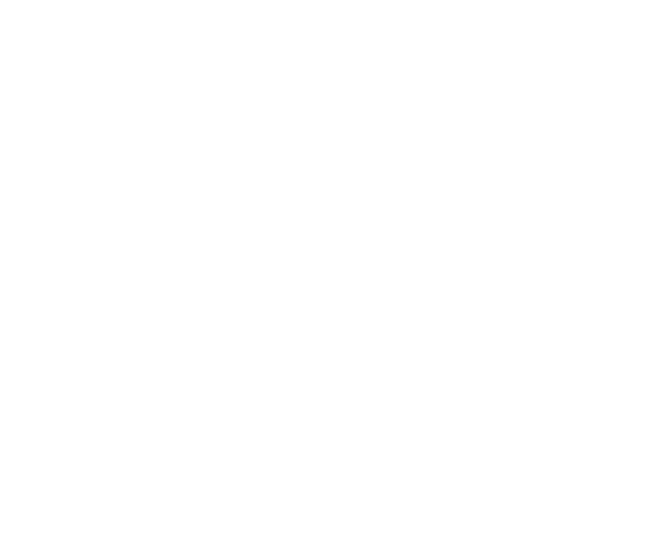logo weiß v2